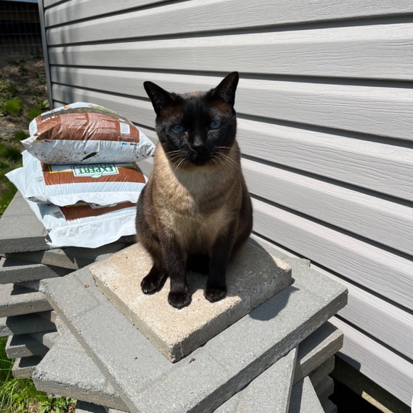 Meet your Posher, Susanne - Picture 7 of 16